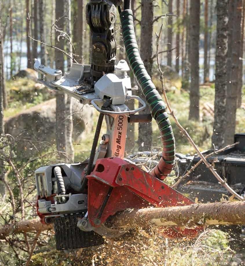 Eco Log 560G mit EcoLog 561LF - Neumaschine Combine forestiere