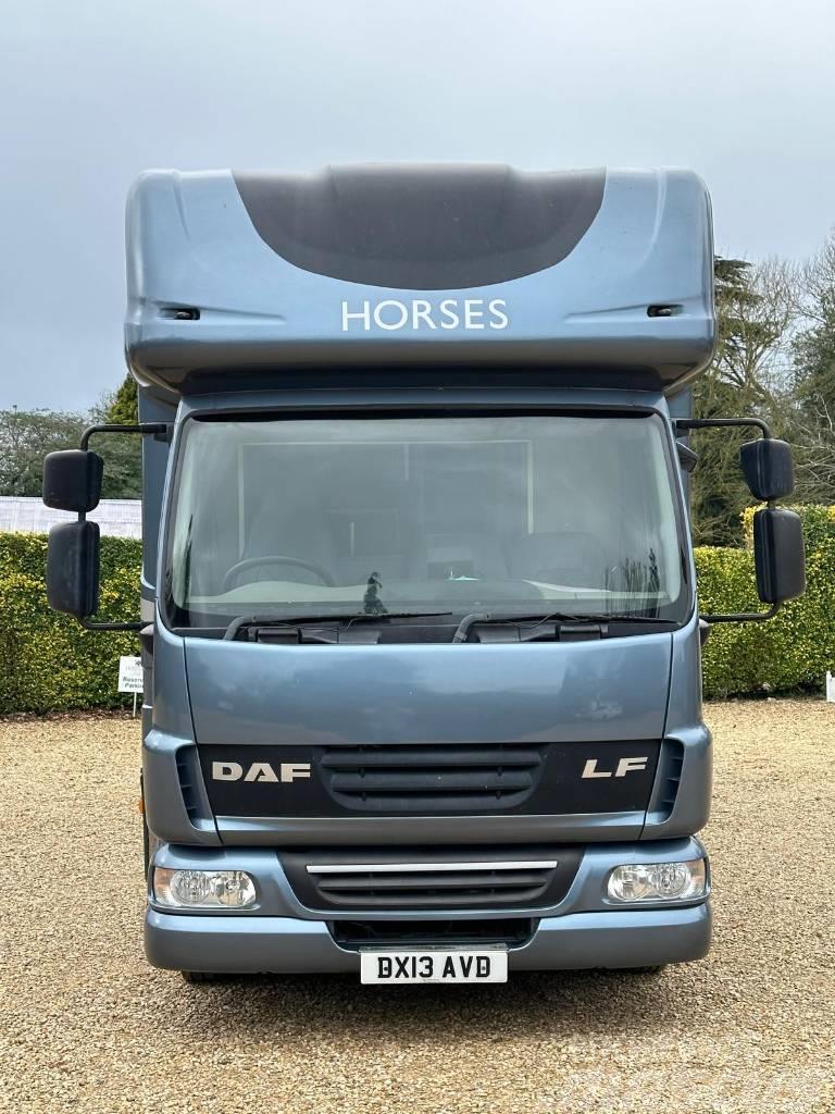 DAF LF Horsebox (2020 Build) Camioane transport animale