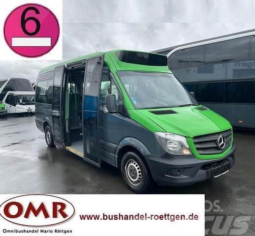 Mercedes-Benz Sprinter 314 Mobility / 316 / 514 / 516 / Rampe Mini autobuze