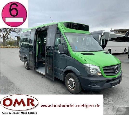 Mercedes-Benz Sprinter 314 Mobility / 316 / 514 / 516 / Rampe Mini autobuze