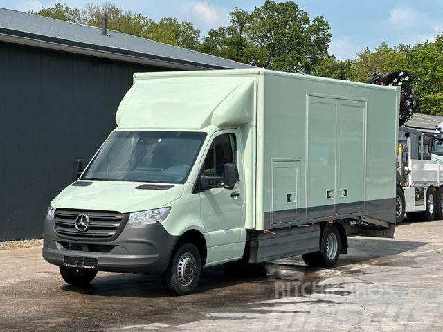 Mercedes-Benz Sprinter 519 CDI CAZOO Sportwagentransporter Transportatoare vehicule